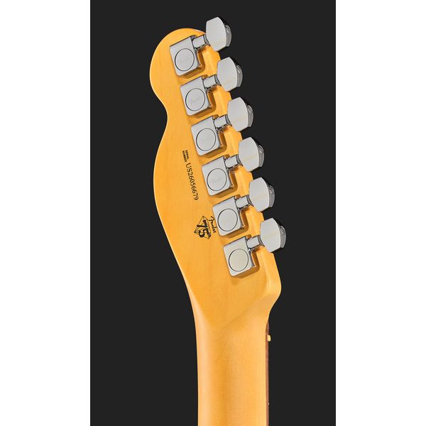 Fender Am Pro Tele RW NAT
