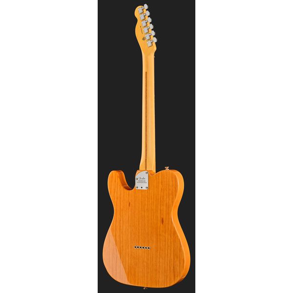 Fender Am Pro Tele RW NAT