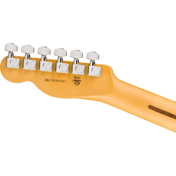 Fender Am Pro Tele MN OXBLD