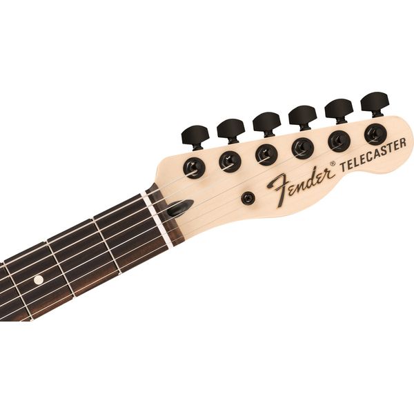 Fender Jim Root Telecaster EB SHG