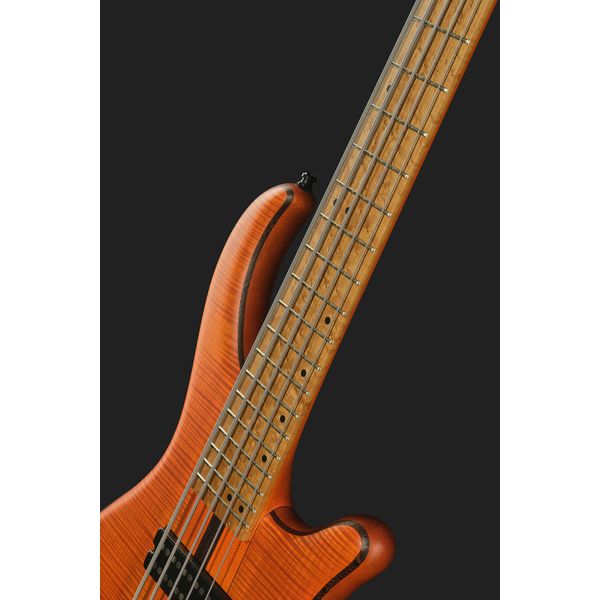 Mayones Guitars Patriot 5 Custom TOM
