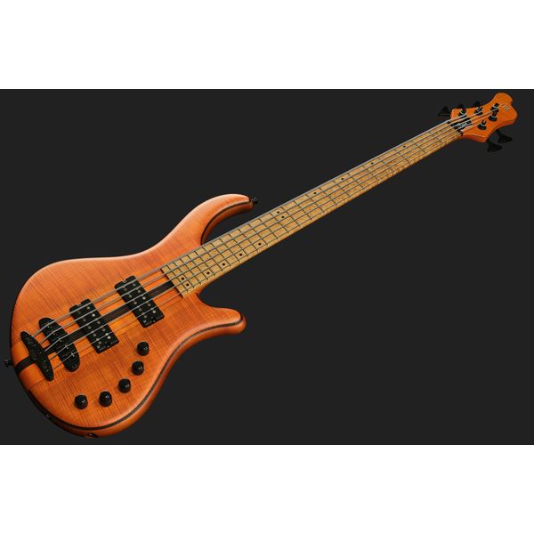 Mayones Guitars Patriot 5 Custom TOM