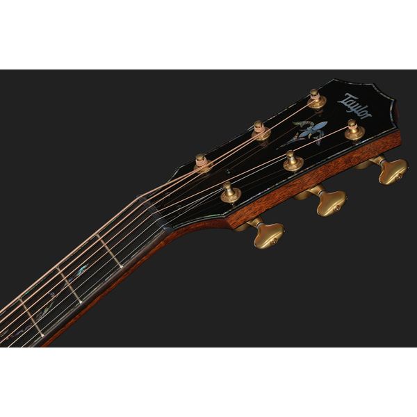 Taylor PS14ce HRW/Adirondack