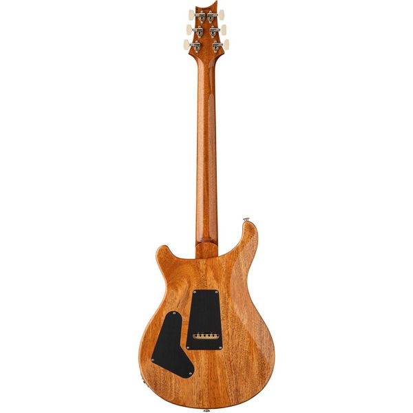 PRS Birds Of A Feather Custom 24 C