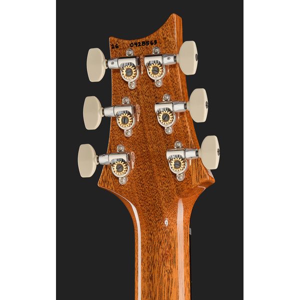 PRS Birds Of A Feather Custom 24 C