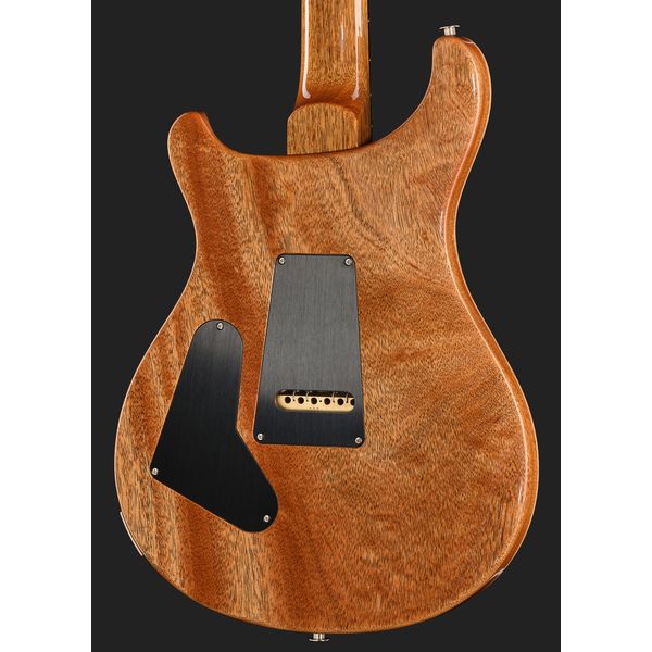 PRS Birds Of A Feather Custom 24 C