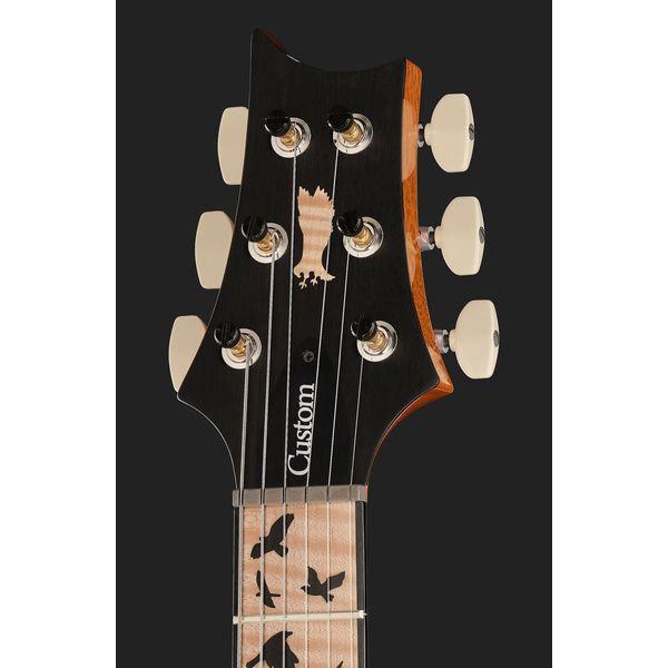 PRS Birds Of A Feather Custom 24 C