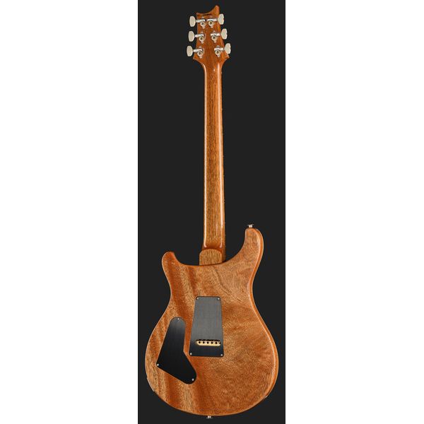 PRS Birds Of A Feather Custom 24 C