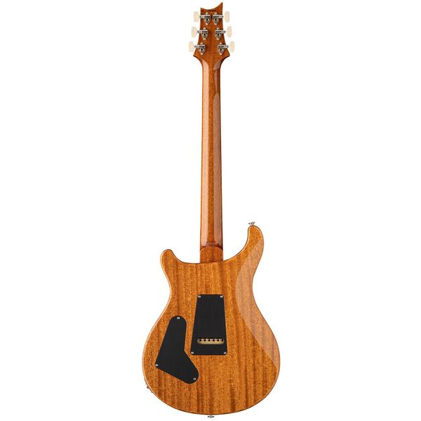 PRS Birds Of A Feather Custom 24 B