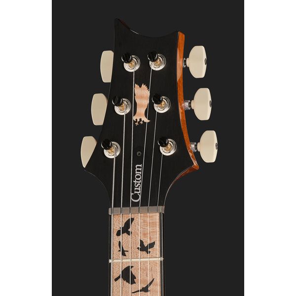 PRS Birds Of A Feather Custom 24 B