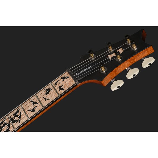 PRS Birds Of A Feather Custom 24 B