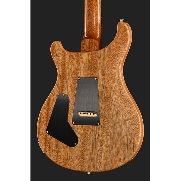 PRS Birds Of A Feather Custom 24 B