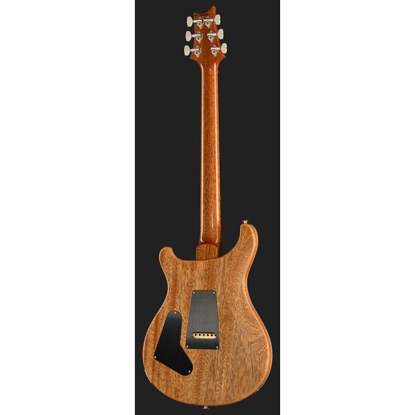 PRS Birds Of A Feather Custom 24 B