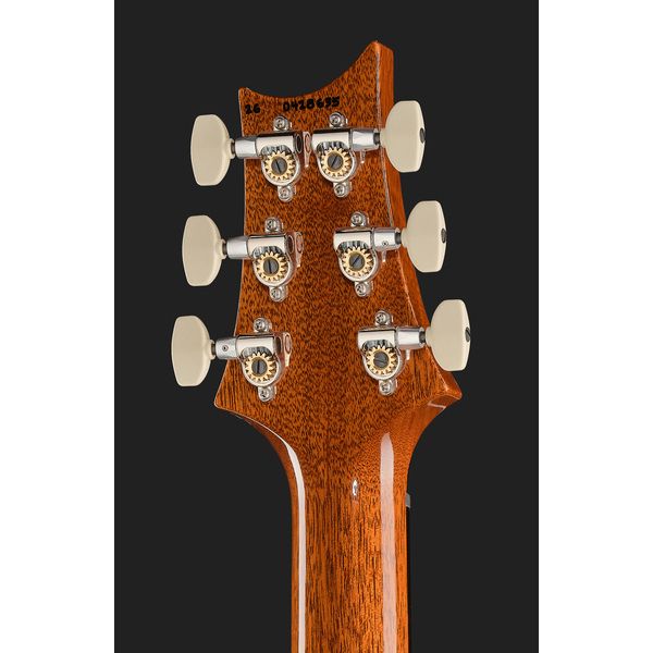PRS Birds Of A Feather Custom 24 B