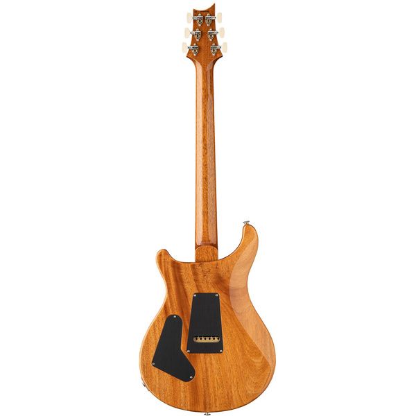 PRS Birds Of A Feather Custom 24 H