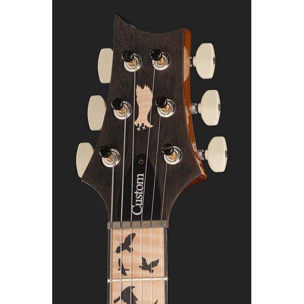 PRS Birds Of A Feather Custom 24 H