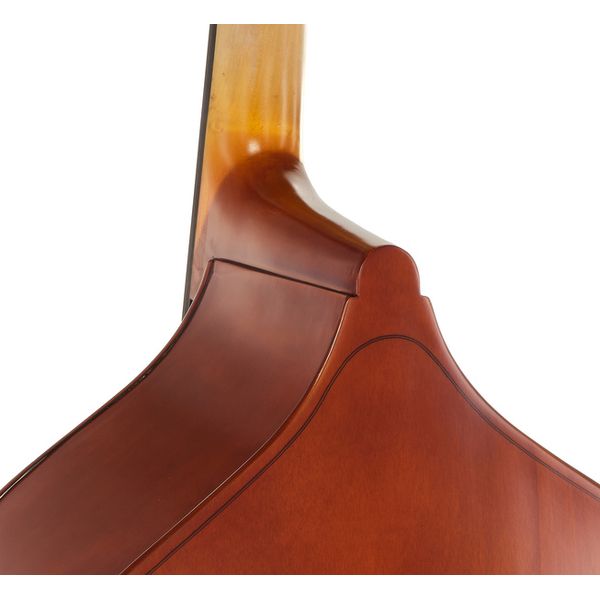 Gewa Basic Line Semi Solid Bass 3/4