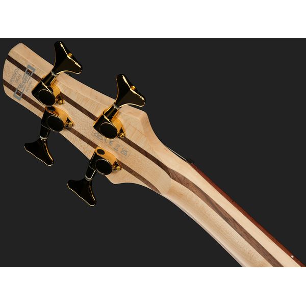 Ibanez SR300EDX-FDM