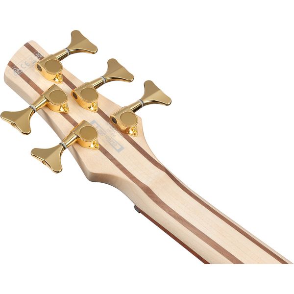 Ibanez SR305EDX-FDM