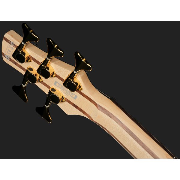 Ibanez SR305EDX-FDM