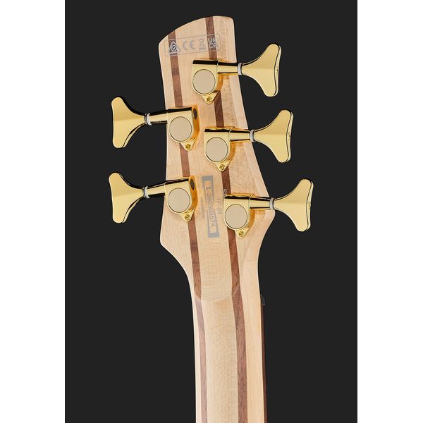 Ibanez SR305EDX-FDM