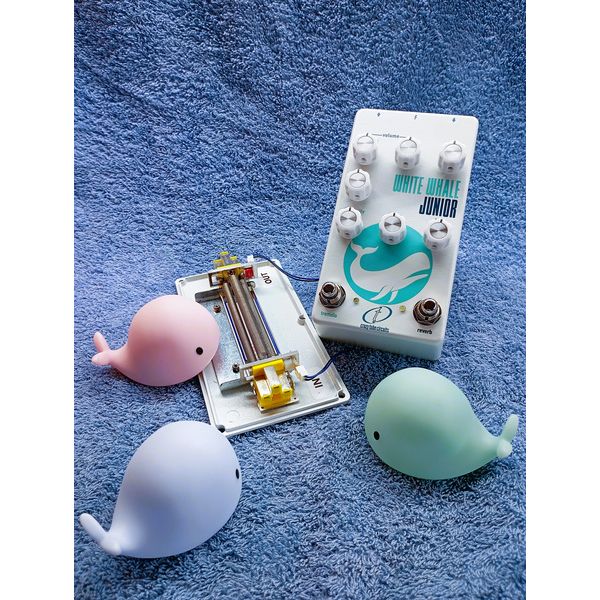 Crazy Tube Circuits White Whale JR