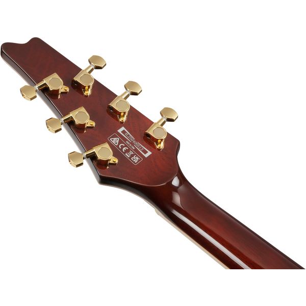 Ibanez IC420-GD