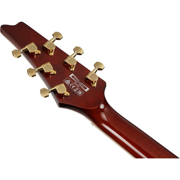 Ibanez IC420-CGM