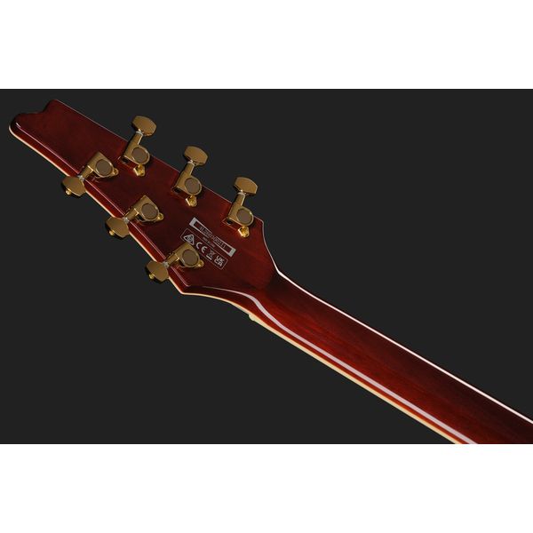 Ibanez IC420-CGM