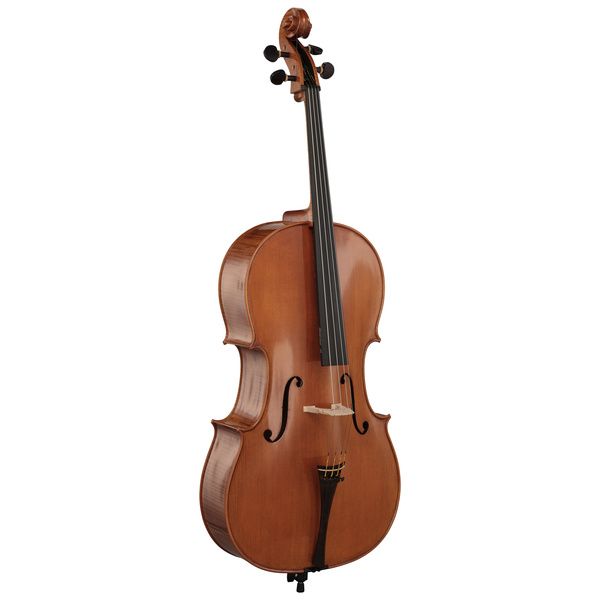 Rainer W. Leonhardt No. 300 Master Cello 4/4