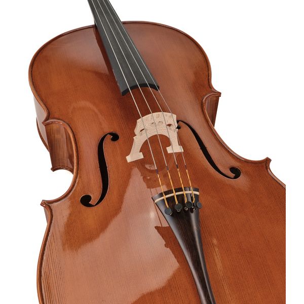 Rainer W. Leonhardt No. 300 Master Cello 4/4