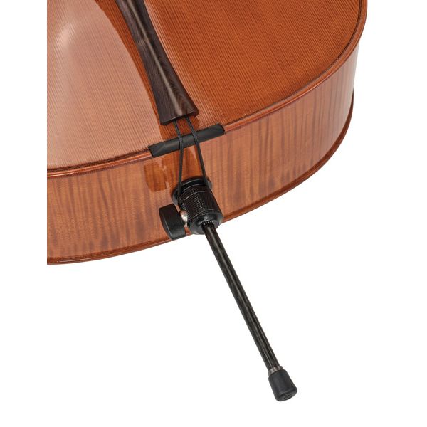 Rainer W. Leonhardt No. 300 Master Cello 4/4