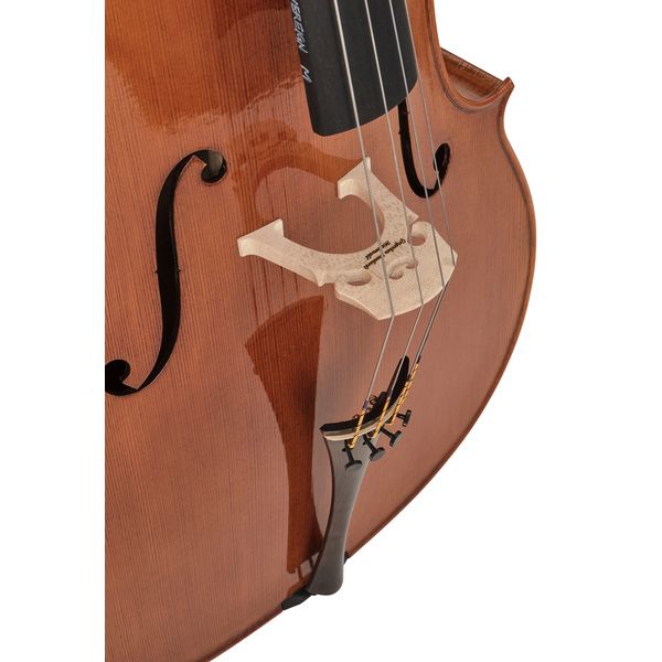 Rainer W. Leonhardt No. 300 Master Cello 4/4