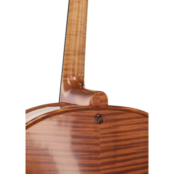 Rainer W. Leonhardt No. 300 Master Cello 4/4
