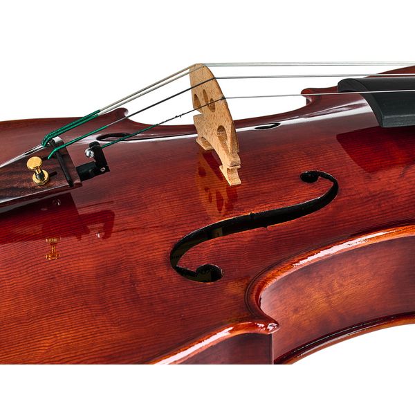 Rainer W. Leonhardt No. 250 Master Viola 40,5cm