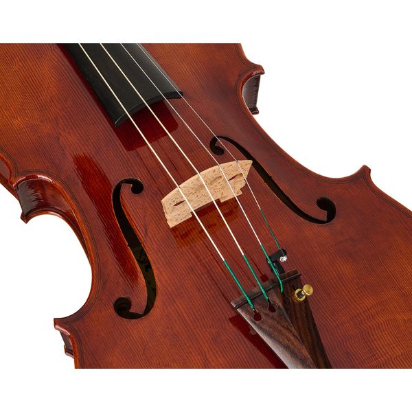 Rainer W. Leonhardt No. 250 Master Viola 40,5cm