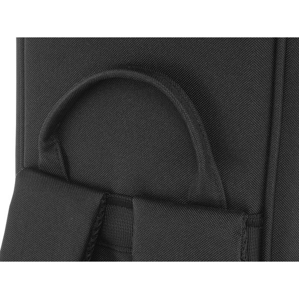 Boss CB-EG15 Gigbag