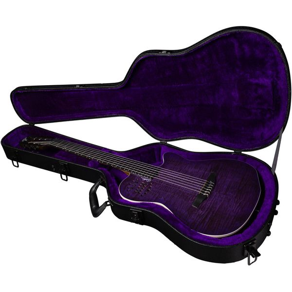 Godin ACS Nylon Steve Stevens 25th