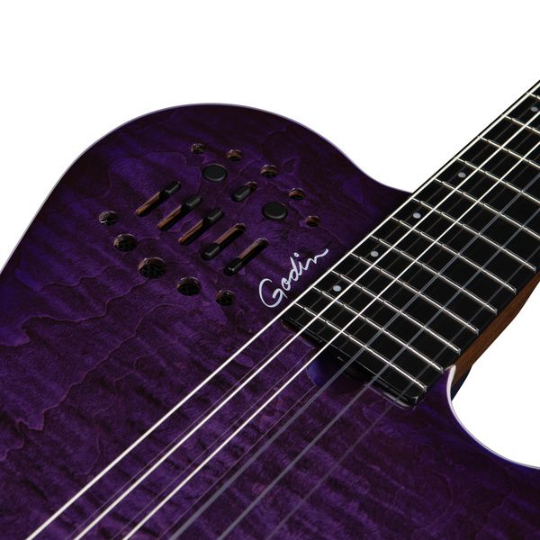 Godin ACS Nylon Steve Stevens 25th