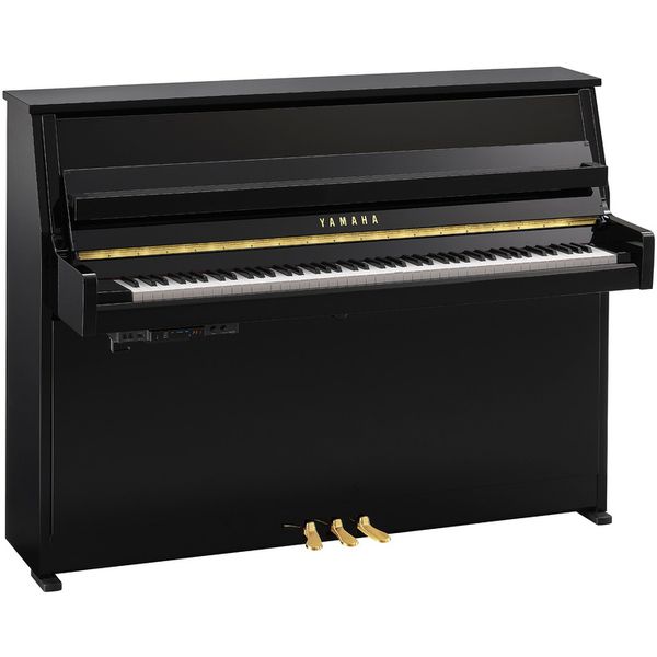 Yamaha B10 TC3 PE