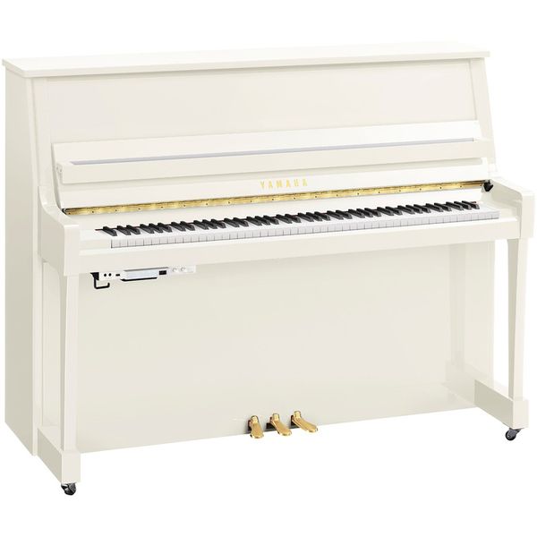 Yamaha B20 TC3 PWH