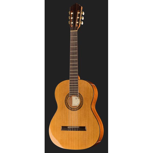 Höfner HZ25 Bundle w/ Gig Bag