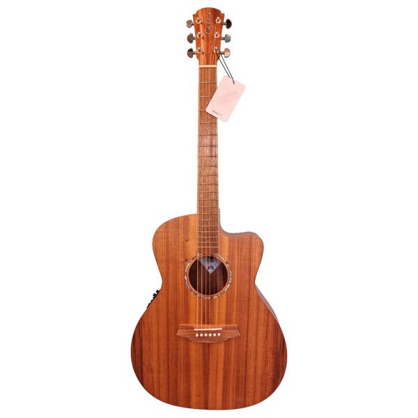 Cole Clark SAN1EC-BLBL