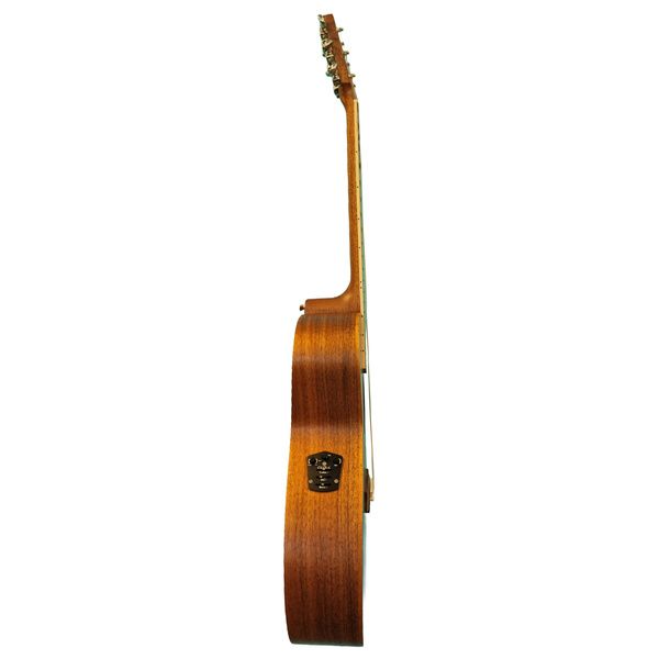 Cole Clark SAN1EC-BLBL