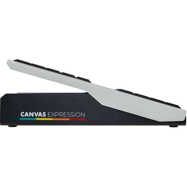 Walrus Audio Canvas Expression Pedal