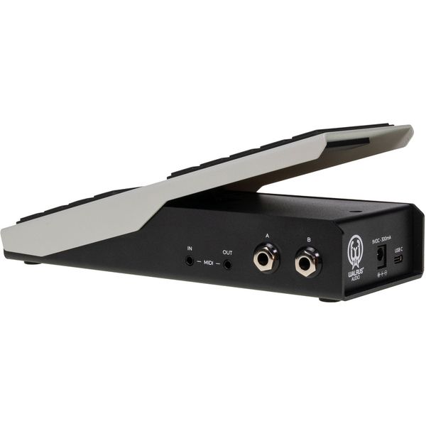 Walrus Audio Canvas Expression Pedal