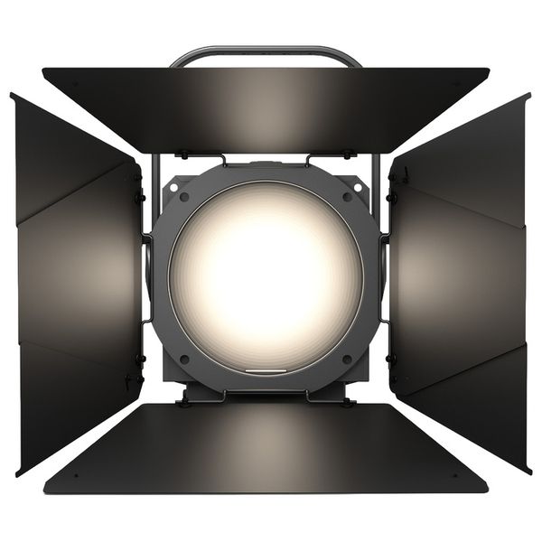 Cameo F4 T