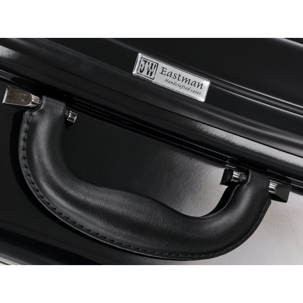 JW-eastman CE133 4/4 Cello Case BK