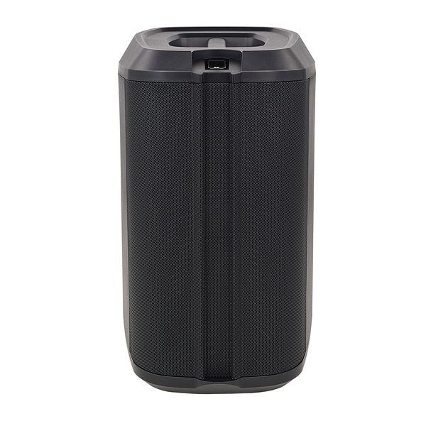 Bose L1 Pro8 Bag Bundle