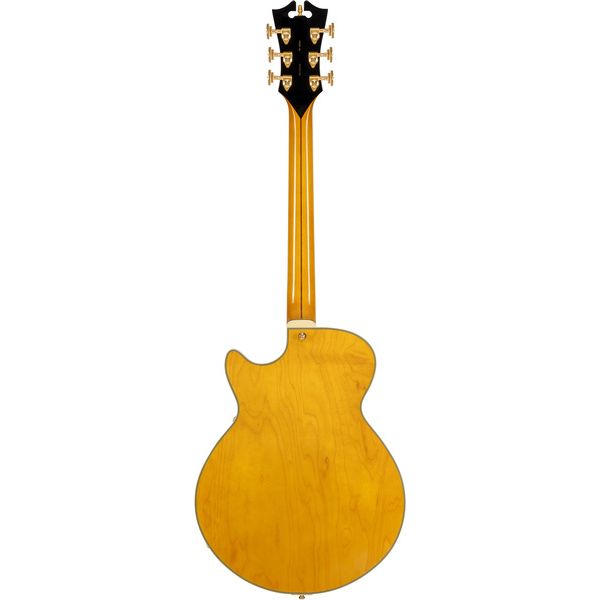 DAngelico Excel SS Amber
